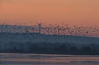 Besuch am Stausee (Foto: P.Blei)
