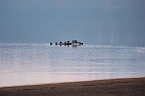 Besuch am Stausee (Foto: P.Blei)
