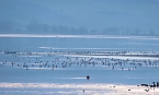 Besuch am Stausee (Foto: P.Blei)