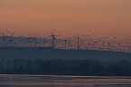 Besuch am Stausee (Foto: P.Blei)