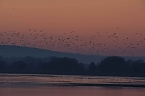 Besuch am Stausee (Foto: P.Blei)
