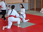 Bild: Kreisjugendspiele im Jiu-Jitsu (Foto: G.Eckert)