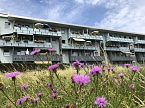 Wie Leinefelde zur Modellstadt des Ostens wurde (Foto: Stadt Leinefelde-Worbis) Wie Leinefelde zur Modellstadt des Ostens wurde (Foto: Stadt Leinefelde-Worbis)