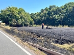 Unfall mit t&ouml;dlichem Ausgang (Foto: S.Dietzel)