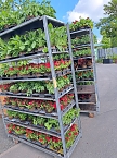 Vorbereitungen für den Sommerflor auf der Landesgartenschau (Foto: Stadt Leinefelde-Worbis) Vorbereitungen für den Sommerflor auf der Landesgartenschau (Foto: Stadt Leinefelde-Worbis)