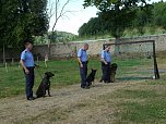 Polizeivorführungen im Zeltlager der Johanniter (Foto: Ilka Kühn) Polizeivorführungen im Zeltlager der Johanniter (Foto: Ilka Kühn)