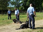 Polizeivorführungen im Zeltlager der Johanniter (Foto: Ilka Kühn) Polizeivorführungen im Zeltlager der Johanniter (Foto: Ilka Kühn)