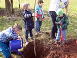 Pflanzaktion in Neustadt (Foto: Anett Papke) Pflanzaktion in Neustadt (Foto: Anett Papke)