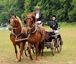 Pferde, Pferde und nochmals Pferde (Foto: Berti Voigt) Pferde, Pferde und nochmals Pferde (Foto: Berti Voigt)