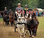 Pferde, Pferde und nochmals Pferde (Foto: Berti Voigt) Pferde, Pferde und nochmals Pferde (Foto: Berti Voigt)