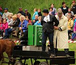 Pferde, Pferde und nochmals Pferde (Foto: Berti Voigt) Pferde, Pferde und nochmals Pferde (Foto: Berti Voigt)