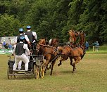 Pferde, Pferde und nochmals Pferde (Foto: Berti Voigt) Pferde, Pferde und nochmals Pferde (Foto: Berti Voigt)