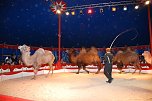 Circus Rolina gastiert in Nordhausen  (Foto: nnz-City Scout: Sven G&auml;mkow)