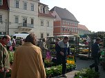Pflanzenmarkt am Sonntag (Foto: Karl-Heinz Herrmann)