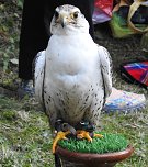 Barockes Gartenfest im Labyrinth (Foto: Peter Blei)
