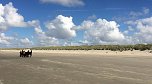 Unterwegs auf Ameland (Foto: S. Schedwill)