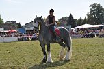 Kampf der Giganten Sundhausen (Foto: nnz-City Scout: Sven G&auml;mkow)