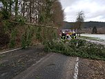 Sturmschaden (Foto: Feuerwehr Heiligenstadt)