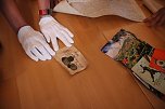 Historische Dokumente bis ins 15. Jahrhundert gefunden (Foto: Karl-Heinz Herrmann)