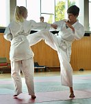 Pr&uuml;fungstag bei den Leinefelder Kampfsportlern (Foto: Domenic Hesse)