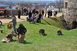 Ostern auf dem Petersberg (Foto: nnz-City Scout Sven G&auml;mkow)