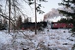 Winterlicher Harzausflug mit Kamera (Foto: P.Blei)