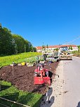 Neue Pflanzen ziehen auf dem Gelände der Landesgartenschau ein. (Foto: René Weißbach) Neue Pflanzen ziehen auf dem Gelände der Landesgartenschau ein. (Foto: René Weißbach)