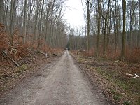 Bild: Weg zum Marienbrunnen
