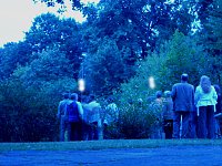 Bild: Flederm&auml;use im Schlosspark Sondershausen