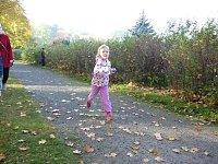 Bild: 18. Stadtparklauf