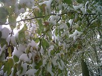Bild: Herbst und Winter