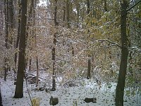 Bild: Herbst und Winter