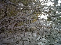 Bild: Herbst und Winter