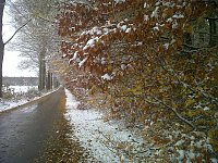 Bild: Herbst und Winter
