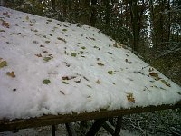 Bild: Herbst und Winter