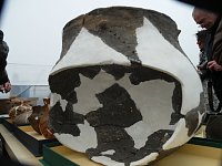 Bild: Funde aus 5000 Jahren S&uuml;dharzer Geschichte