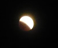 Bild: Und weg....