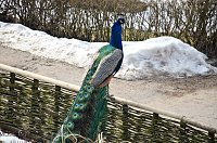 Bild: B&auml;renpark