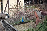 Bild: B&auml;renpark
