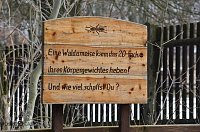 Bild: B&auml;renpark