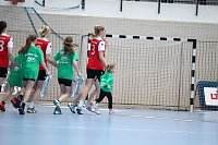 Bild: Tolles Spiel in der Wiedigsburghalle