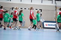 Bild: Tolles Spiel in der Wiedigsburghalle