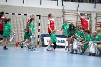 Bild: Tolles Spiel in der Wiedigsburghalle