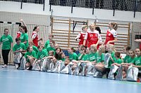 Bild: Tolles Spiel in der Wiedigsburghalle