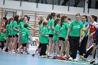 Bild: Tolles Spiel in der Wiedigsburghalle
