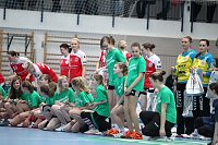 Bild: Tolles Spiel in der Wiedigsburghalle