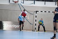 Bild: Tolles Spiel in der Wiedigsburghalle
