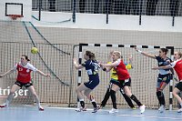 Bild: Tolles Spiel in der Wiedigsburghalle