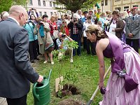 Doppelt angegossen Bild: Doppelt angegossen