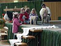 Stadtfest Leinefelde Bild: Stadtfest Leinefelde
